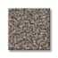Portis Pass Alpaca Texture Carpet swatch